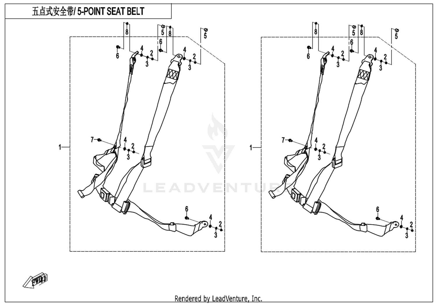5-Point Seat Belt